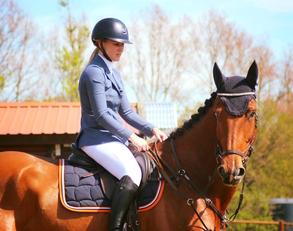 Dansk Varmblod Christiano mak billede 5