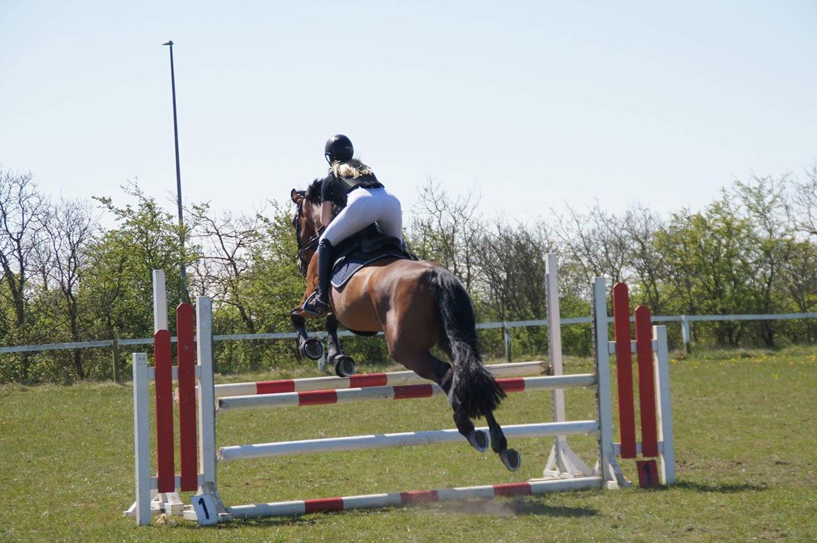 Holstener Søndervangs comet billede 13