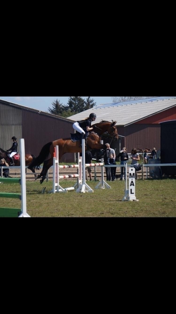 Holstener Søndervangs comet - Stævne i Varde billede 11