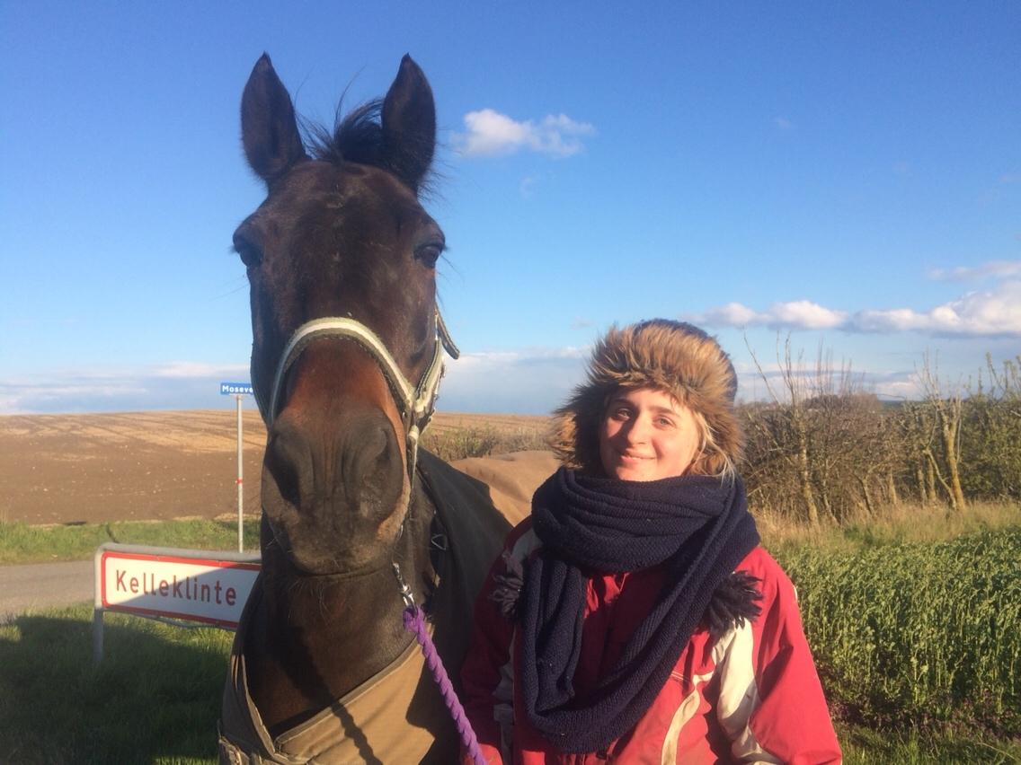 DSP - Buegårds Saturn billede 14