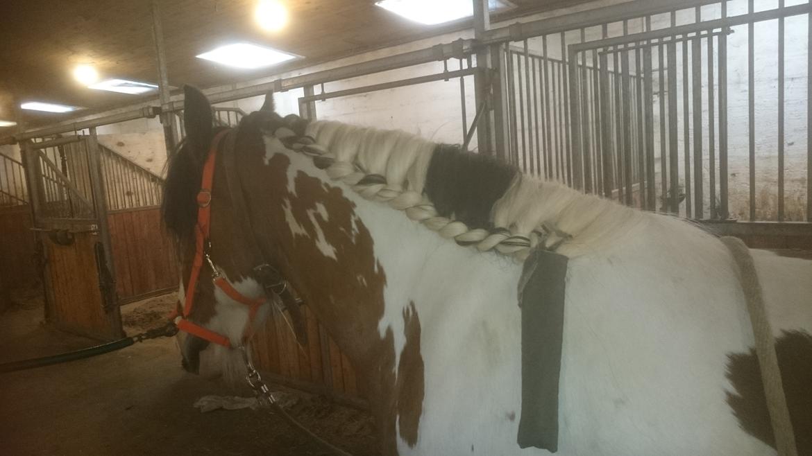 Tinker Butler fra bringstrup billede 10