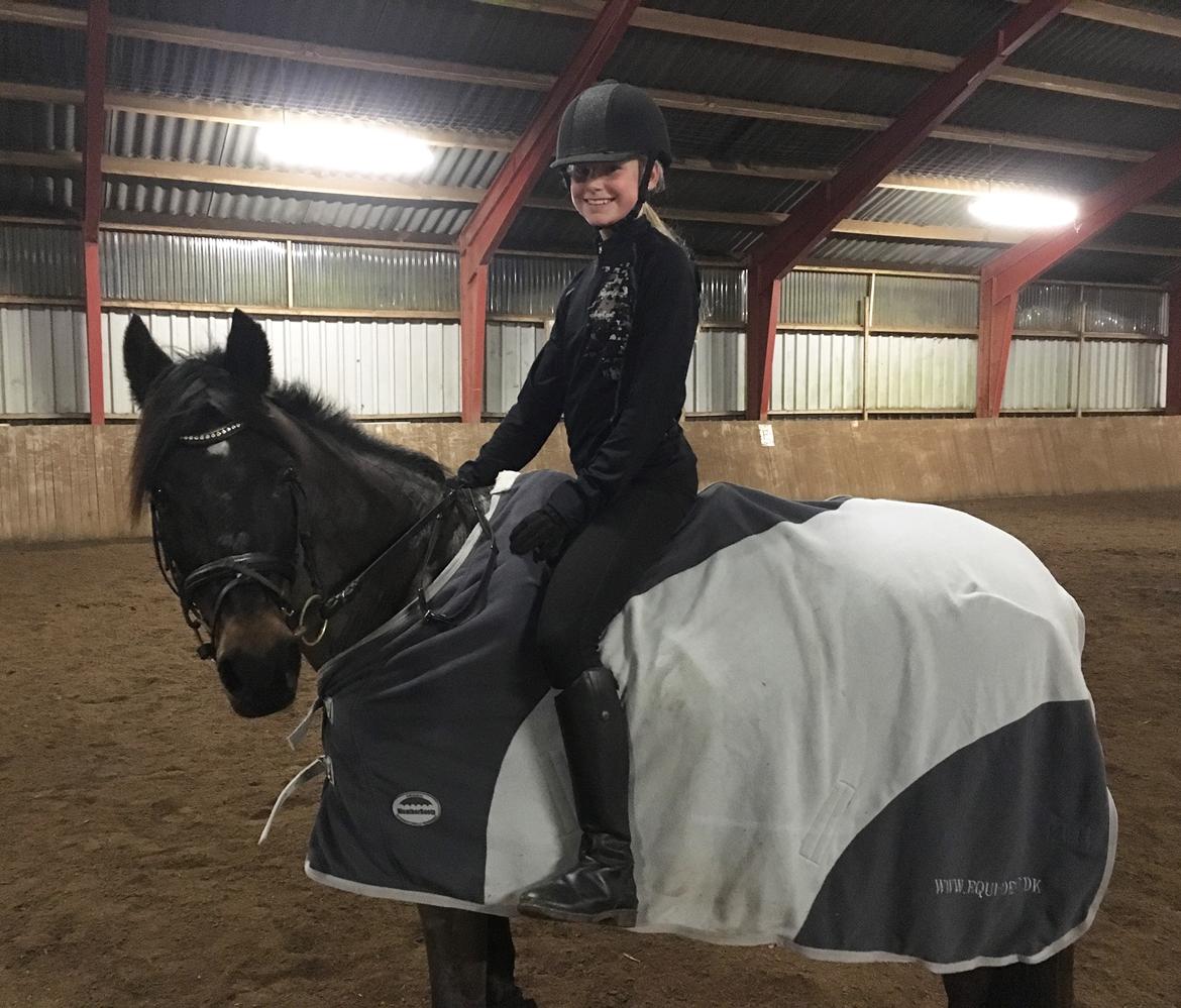 DSP Eilers Cassiopeia billede 3