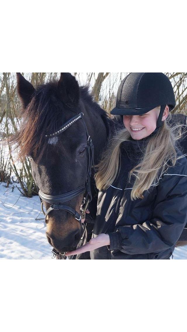 DSP Eilers Cassiopeia billede 10