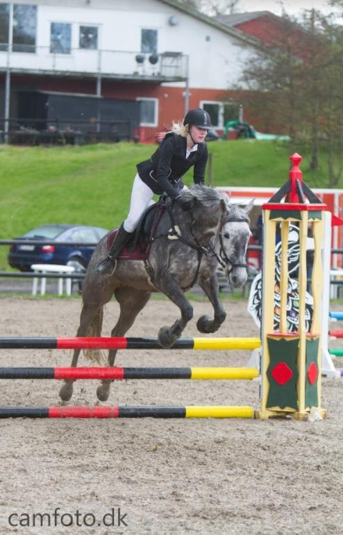 Anden særlig race Antares - En meget våd stævnedag på BAL billede 13