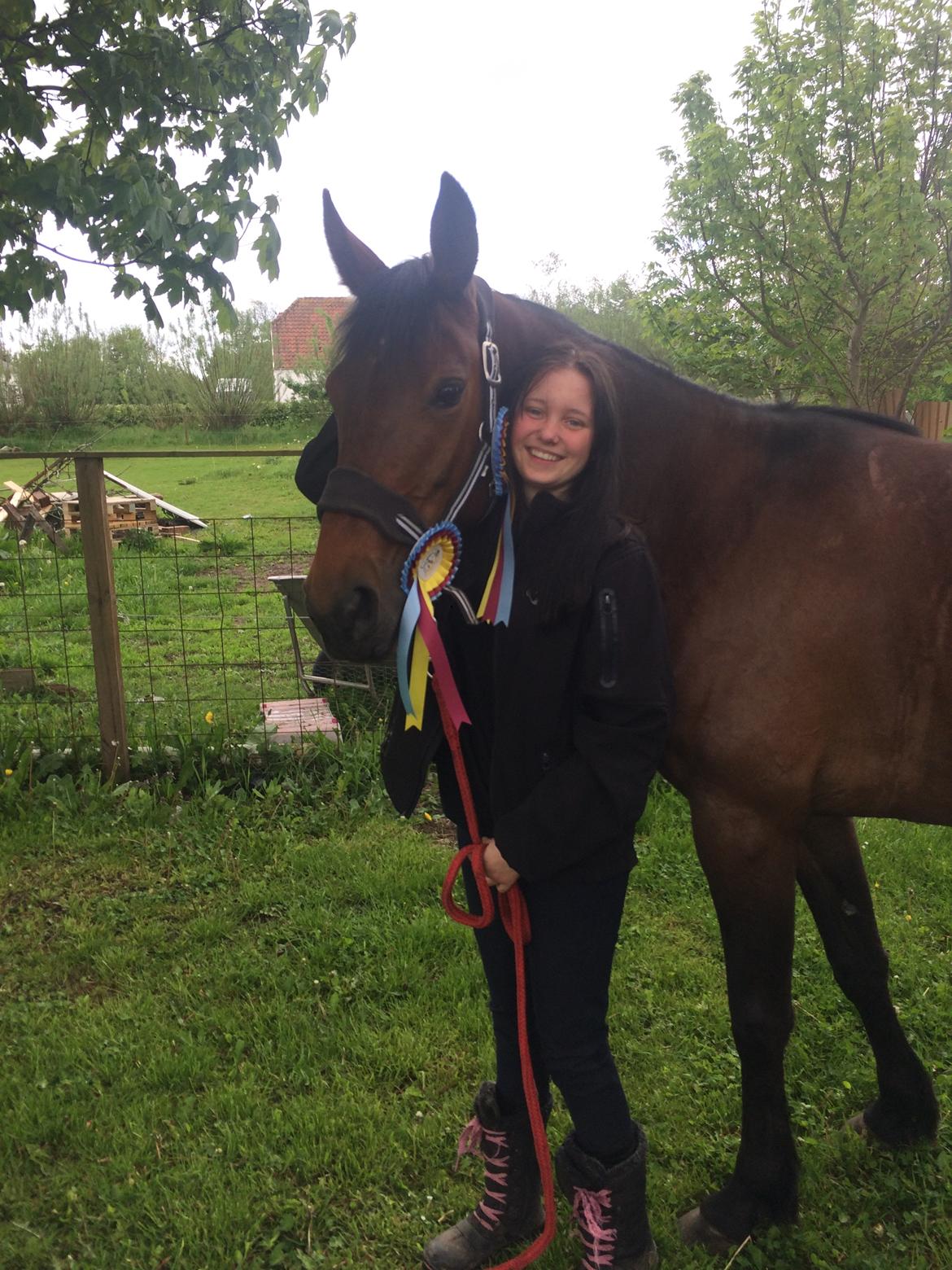 Traver Bette Nøk S - Rosetter med hjem fra vores første stævne. billede 8