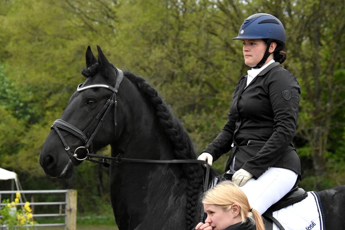 Frieser Zaion Terplinggaard STER - Smukke hesten... Første stævne Maj 2017 billede 2