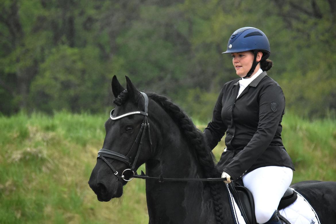 Frieser Zaion Terplinggaard STER - Stævne maj 2017 billede 6