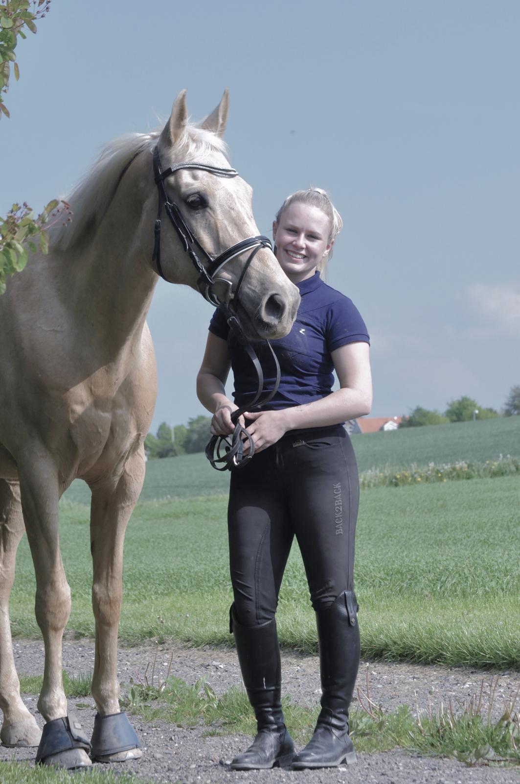 Palomino Golden Fashion *Elsket og Savnet"  billede 1