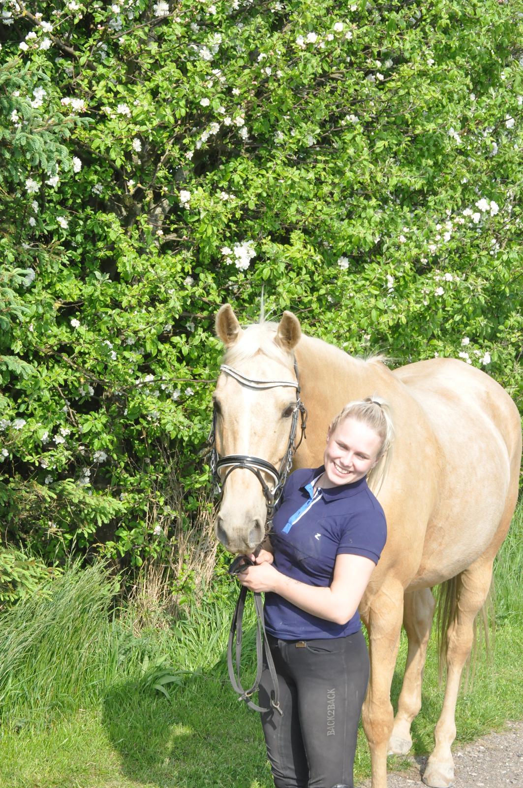 Palomino Golden Fashion *Elsket og Savnet"  billede 5