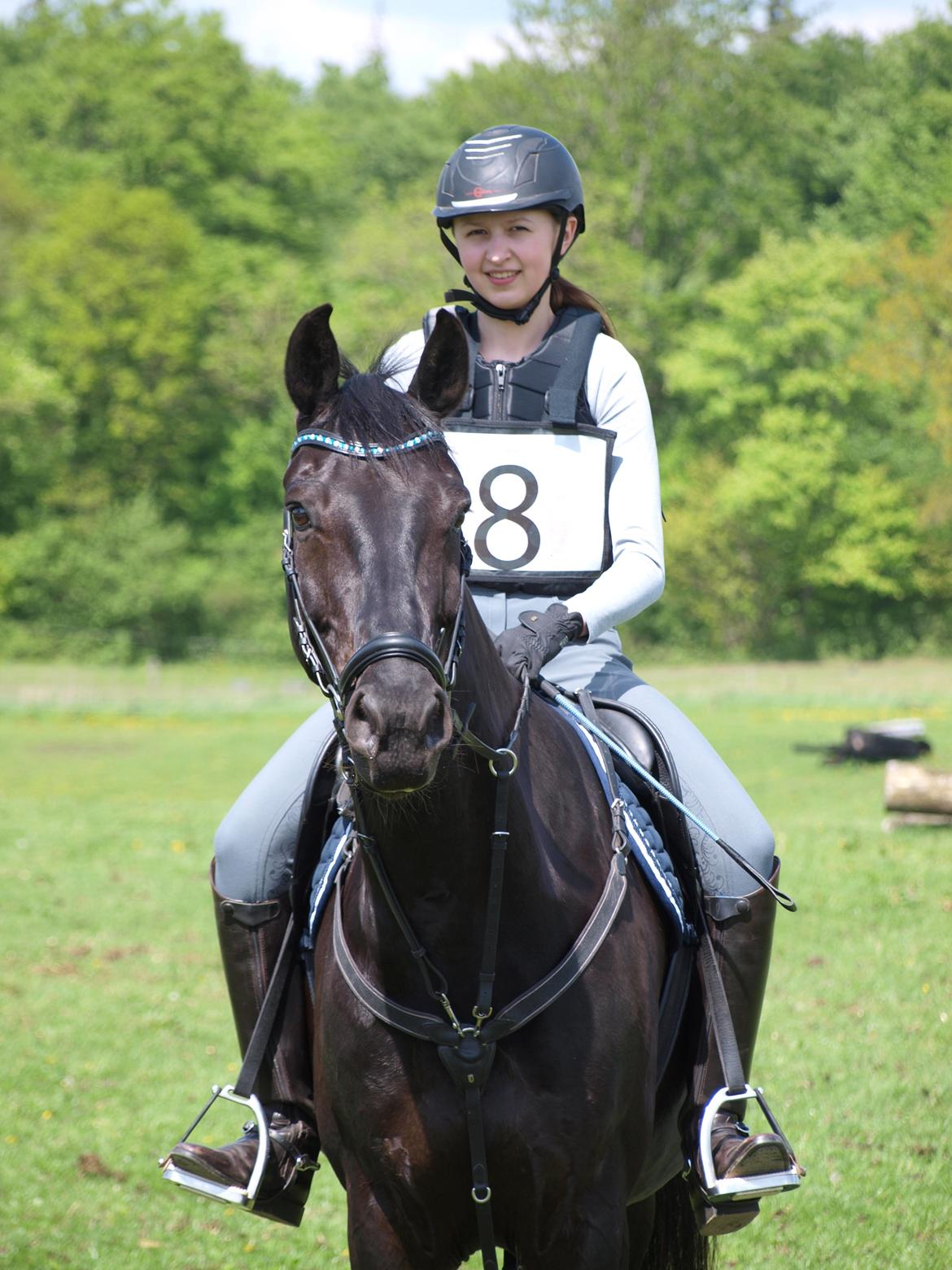 Dansk Varmblod Tranholms Santiago - Stævne maj 2017, SRÅ billede 4