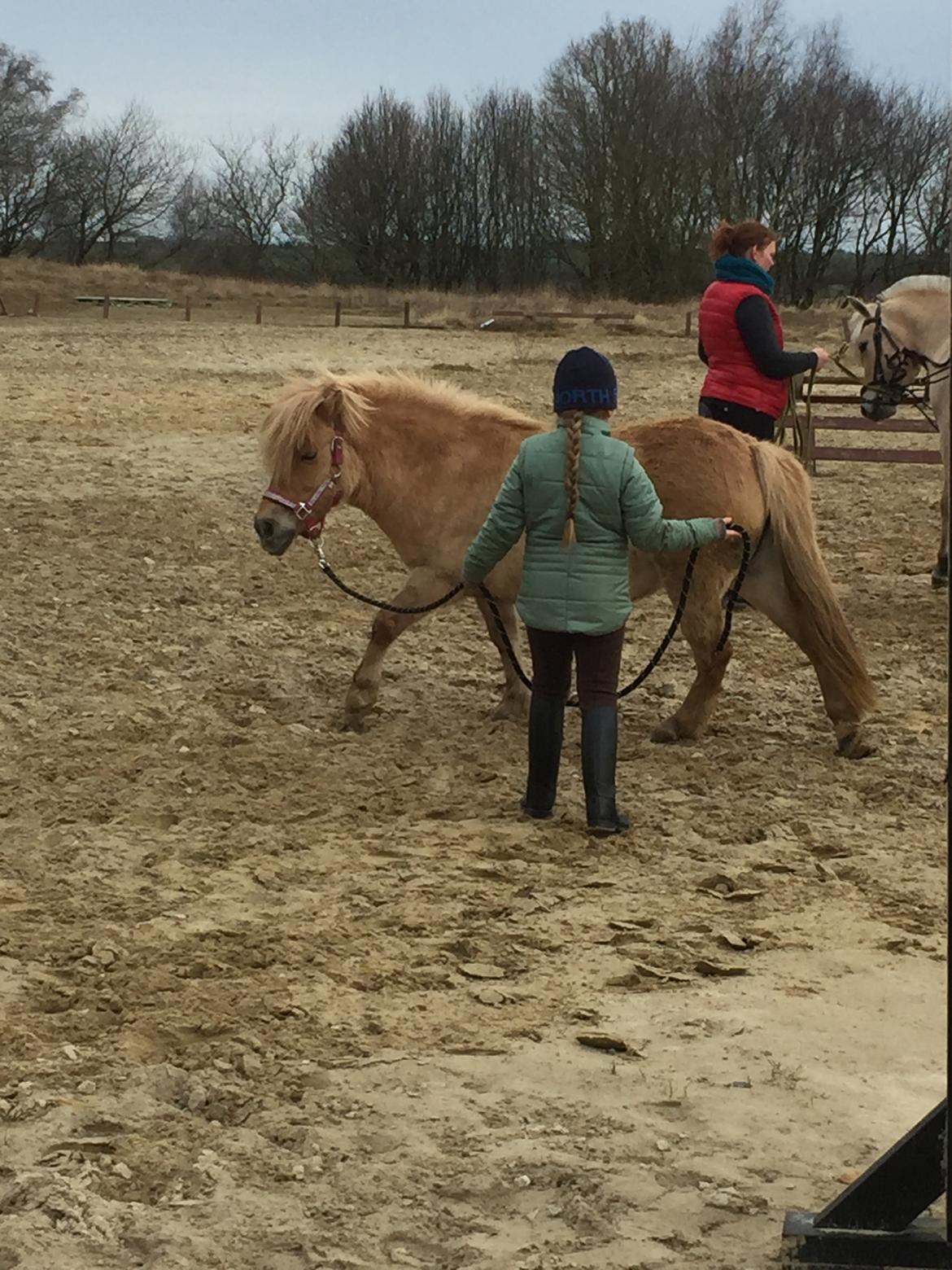 Anden særlig race Stella  billede 1