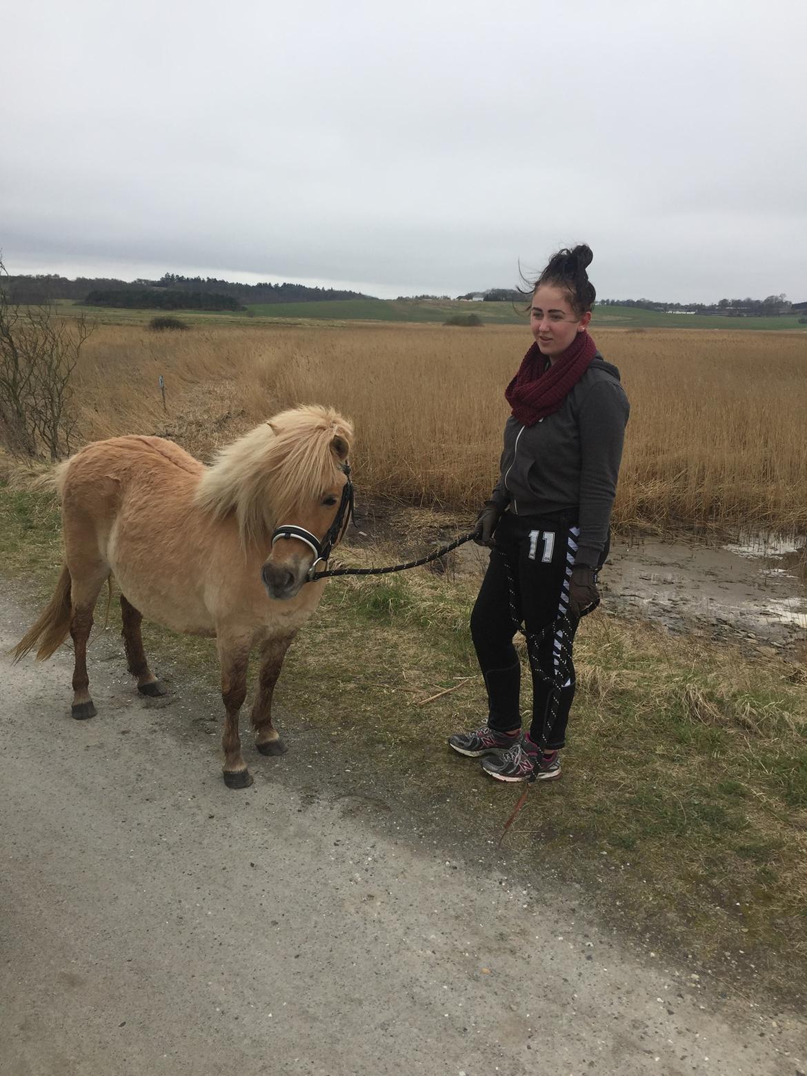 Anden særlig race Stella  billede 6