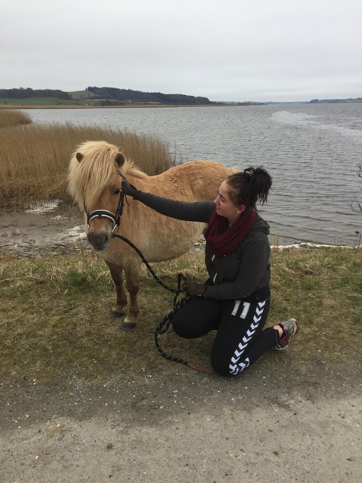 Anden særlig race Stella  billede 4