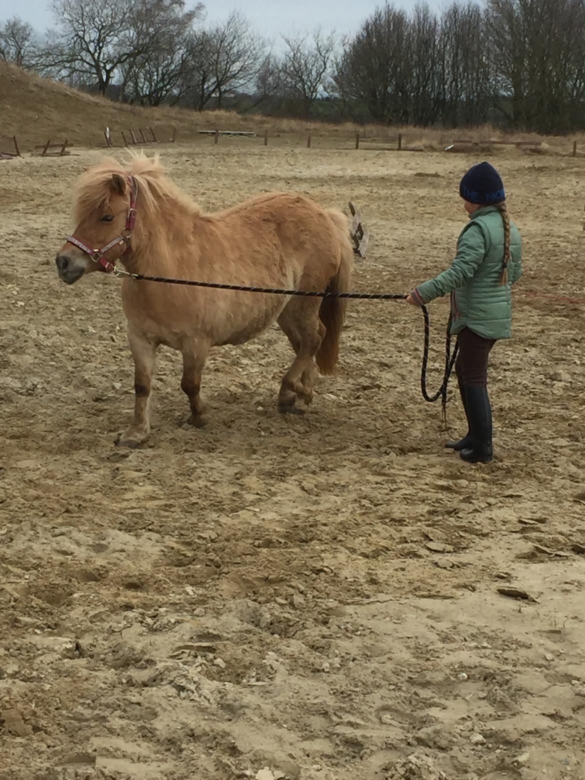 Anden særlig race Stella  billede 7