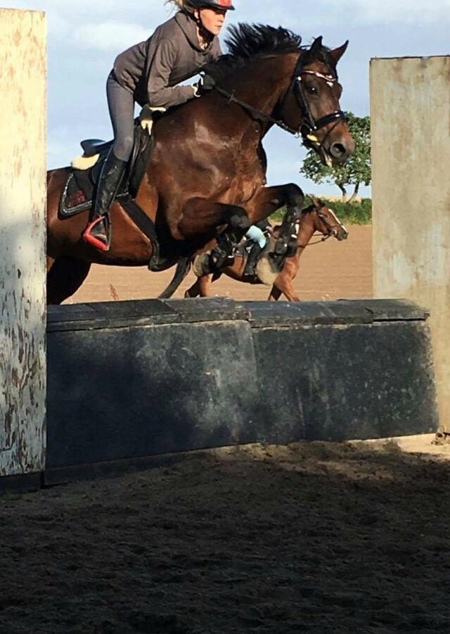 Connemara Ballycullen lass billede 11