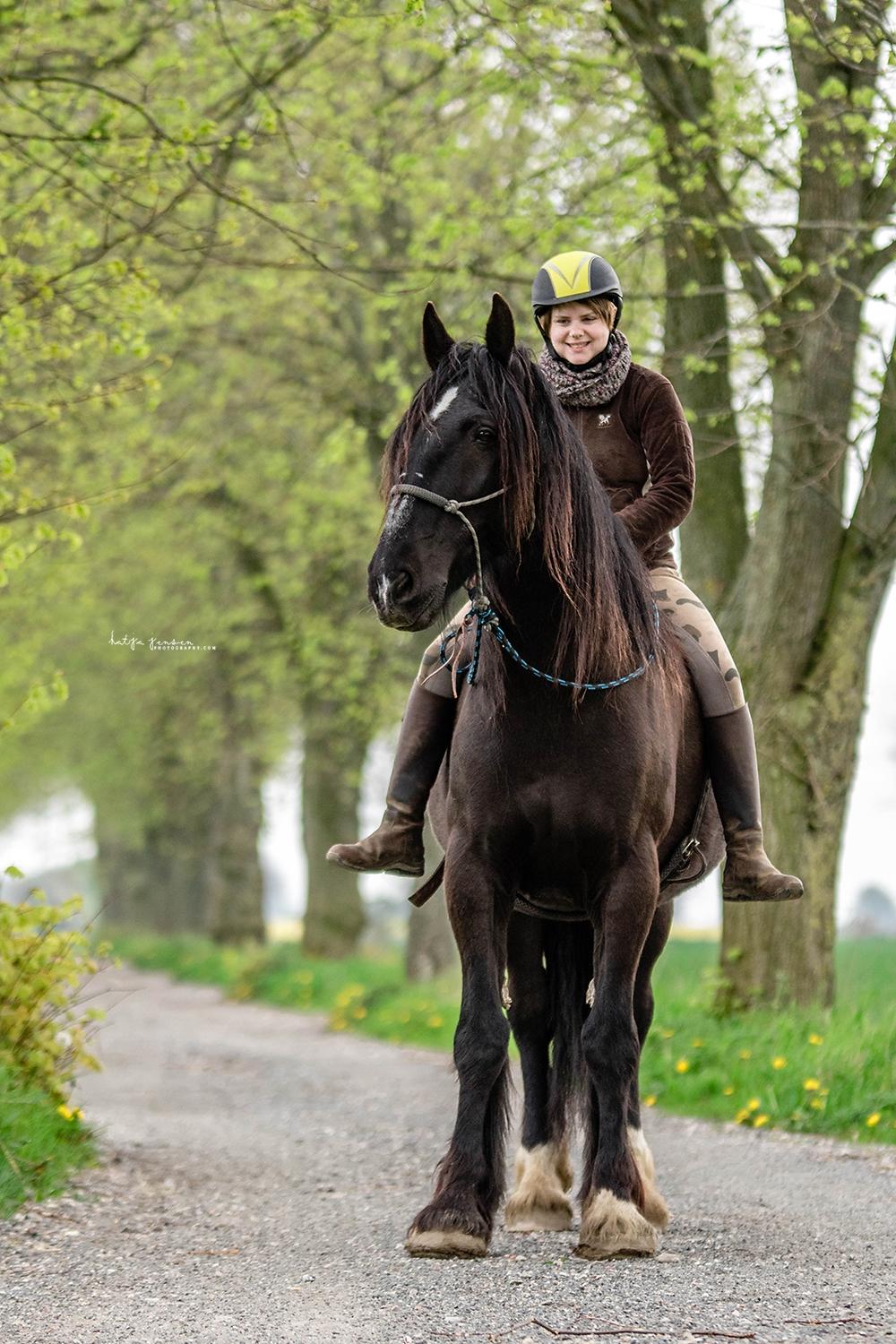 Anden særlig race Sir Lancelot Soleil billede 1