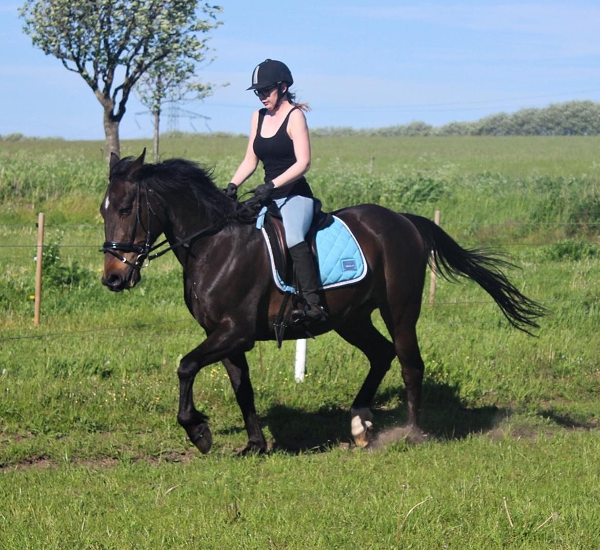 Traver Woody  billede 5