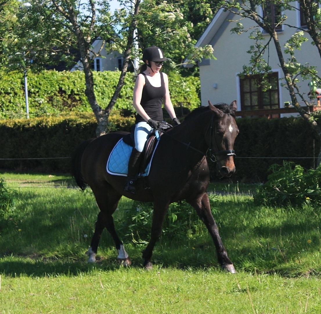 Traver Woody  billede 6