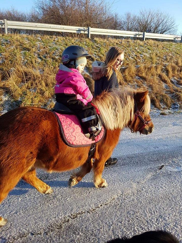 Anden særlig race Minnie billede 7