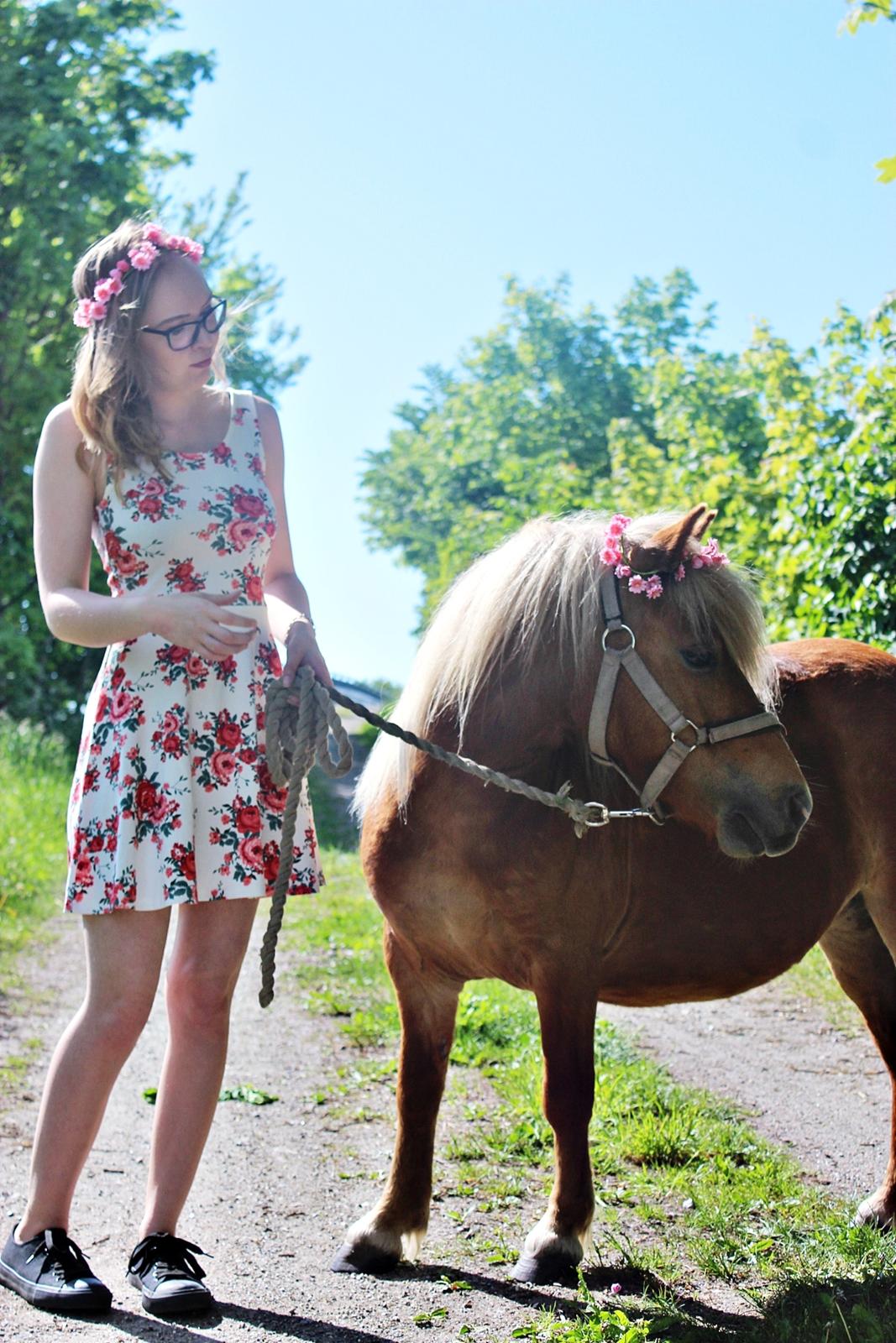 Anden særlig race Minnie billede 12