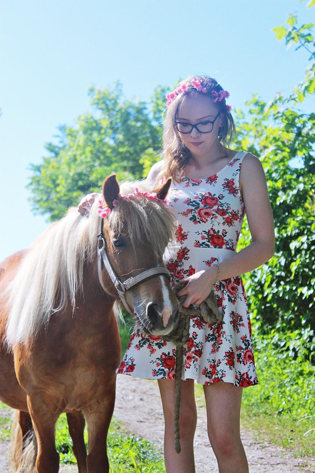 Anden særlig race Minnie billede 1
