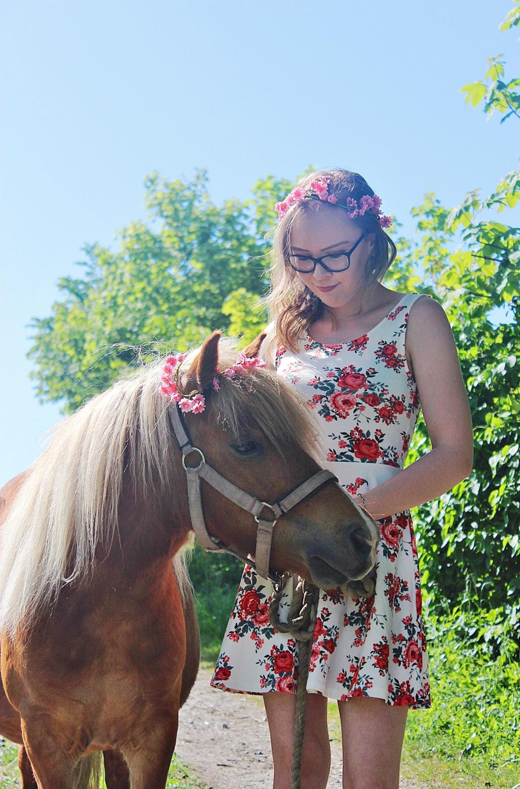 Anden særlig race Minnie billede 13