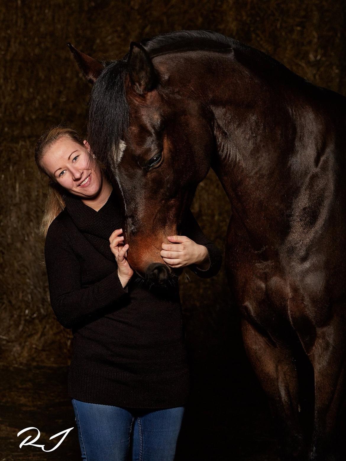 Anden særlig race Sir Charming Felix billede 7