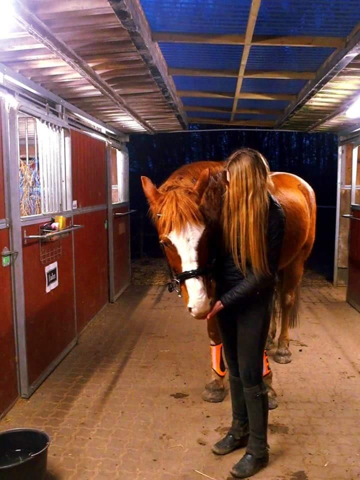 Anden særlig race Surprice billede 14