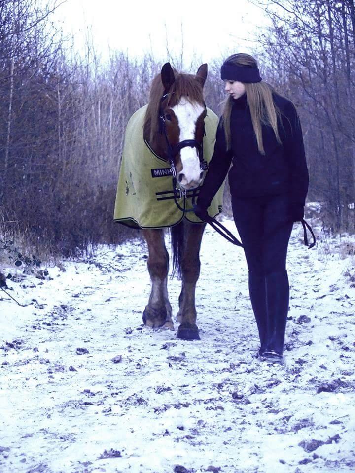 Anden særlig race Surprice billede 17