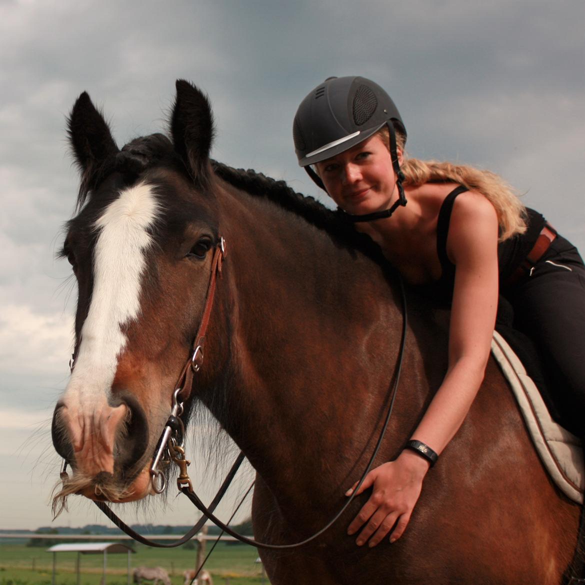 Irish Cob Shamrocks Rowan of Spades billede 19