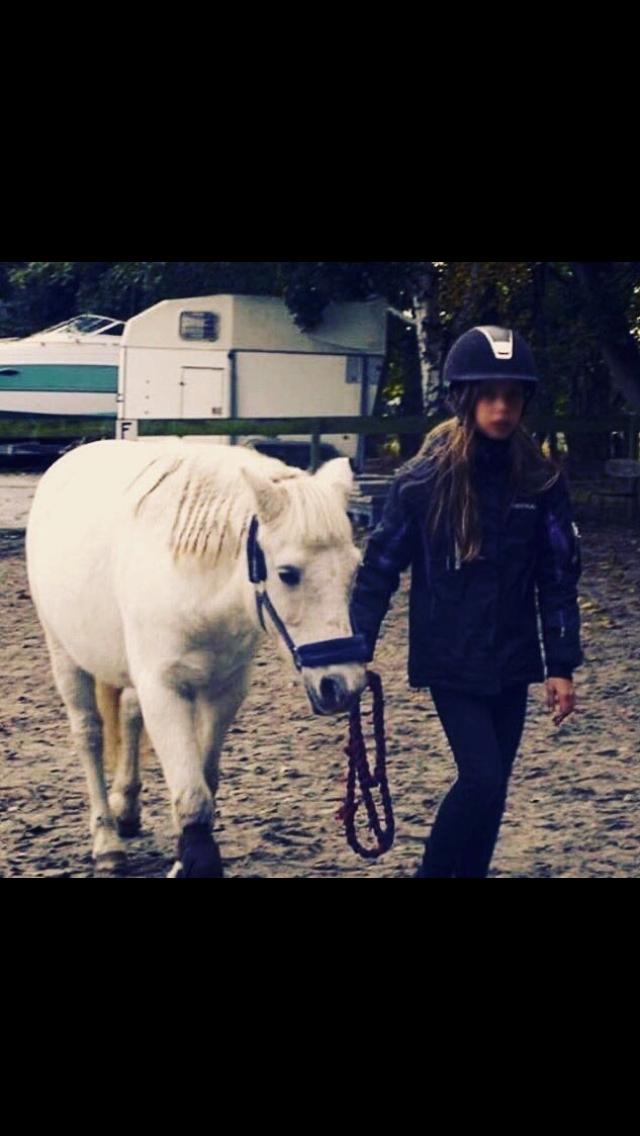 Welsh Mountain (sec A) (Rip) Tarzan (Leo) billede 19