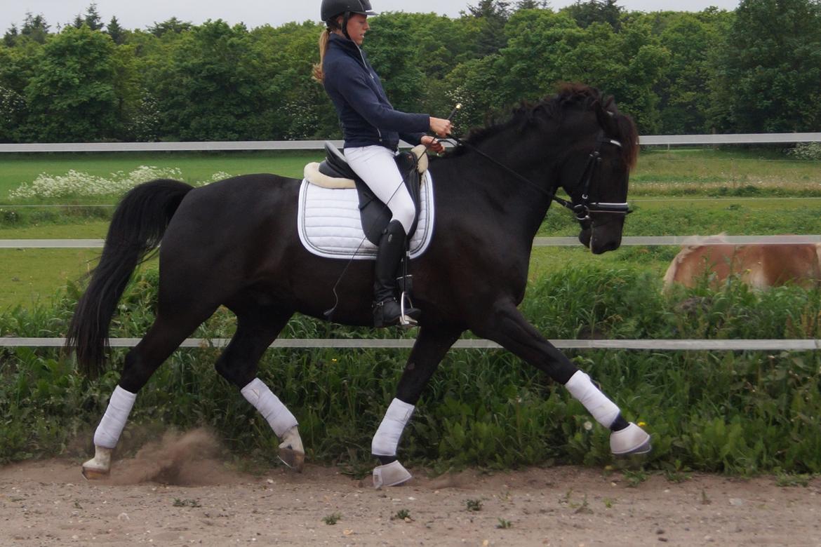 Oldenborg Fillip - Velkommen til Filips profil! Se hvor lækker han er! billede 5