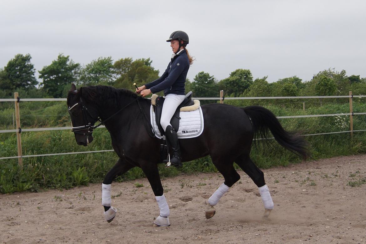 Oldenborg Fillip billede 2