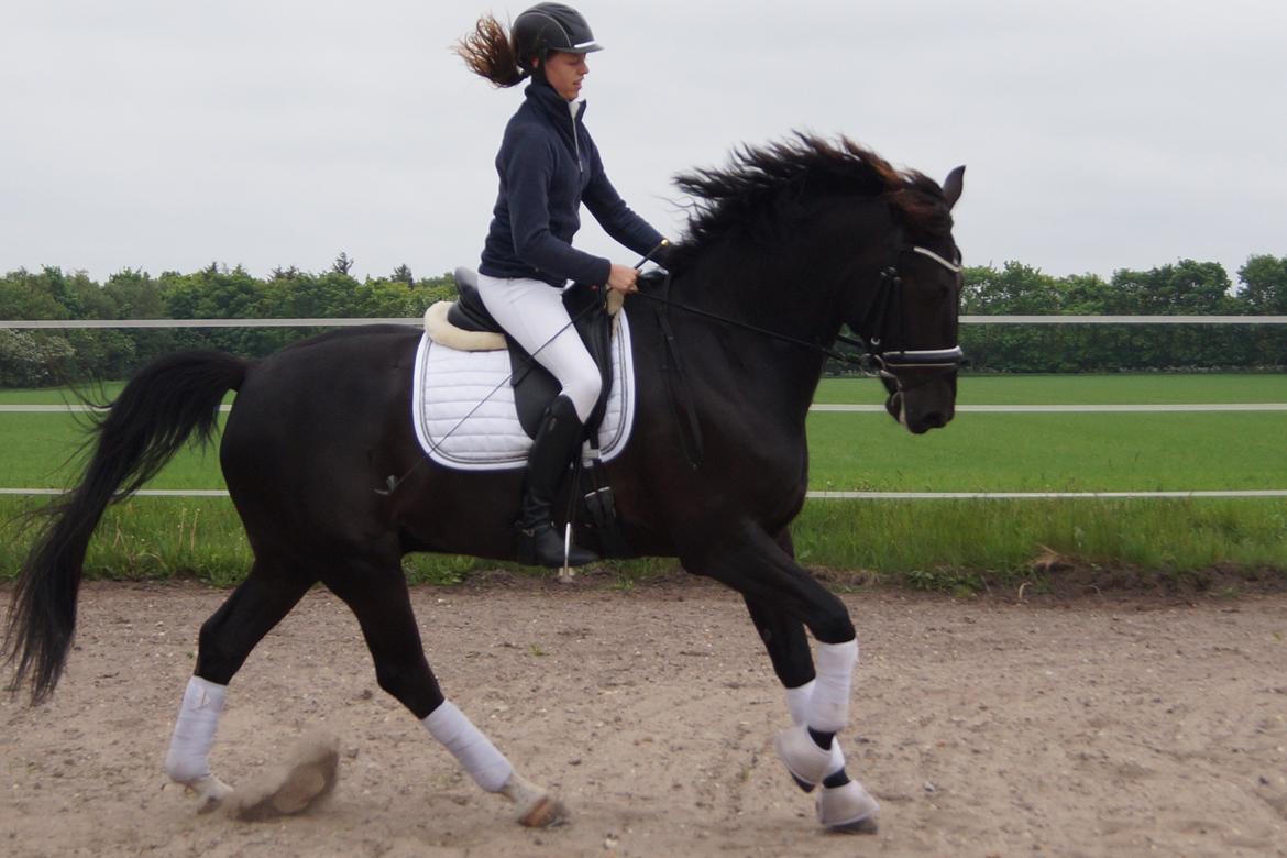 Oldenborg Fillip billede 8