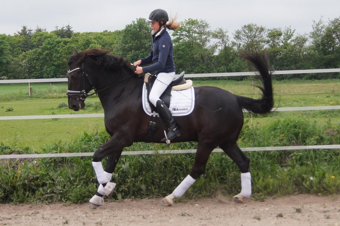 Oldenborg Fillip billede 3