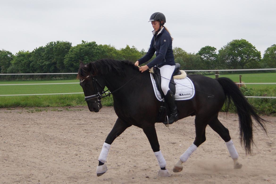 Oldenborg Fillip billede 18