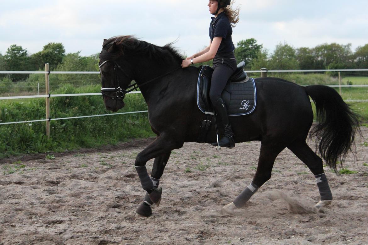 Oldenborg Fillip billede 4