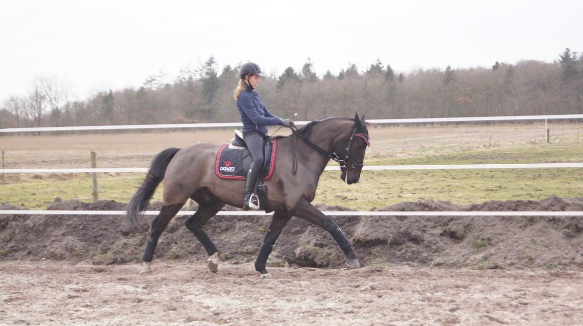 Oldenborg Fillip billede 20