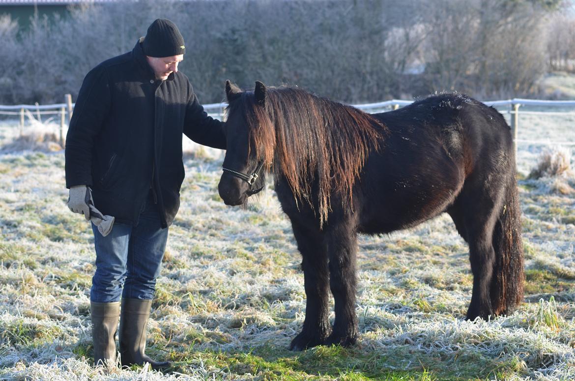 Fell pony Strandgaardens Black Jack - Jack og min vidunderlige kæreste, Anders, december 2016 billede 41