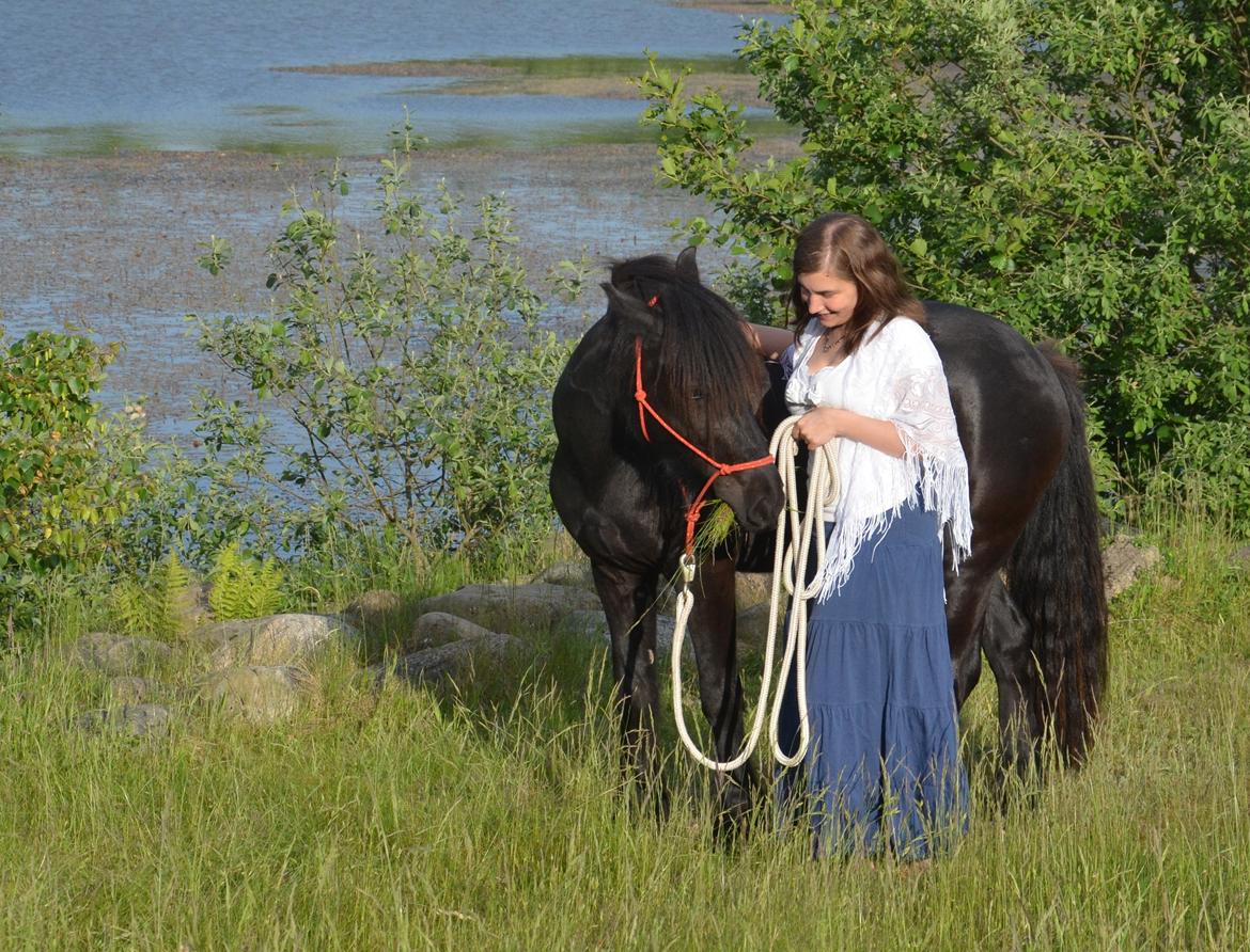Fell pony Strandgaardens Black Jack - Jack og mig... photoshoot 2014 billede 27