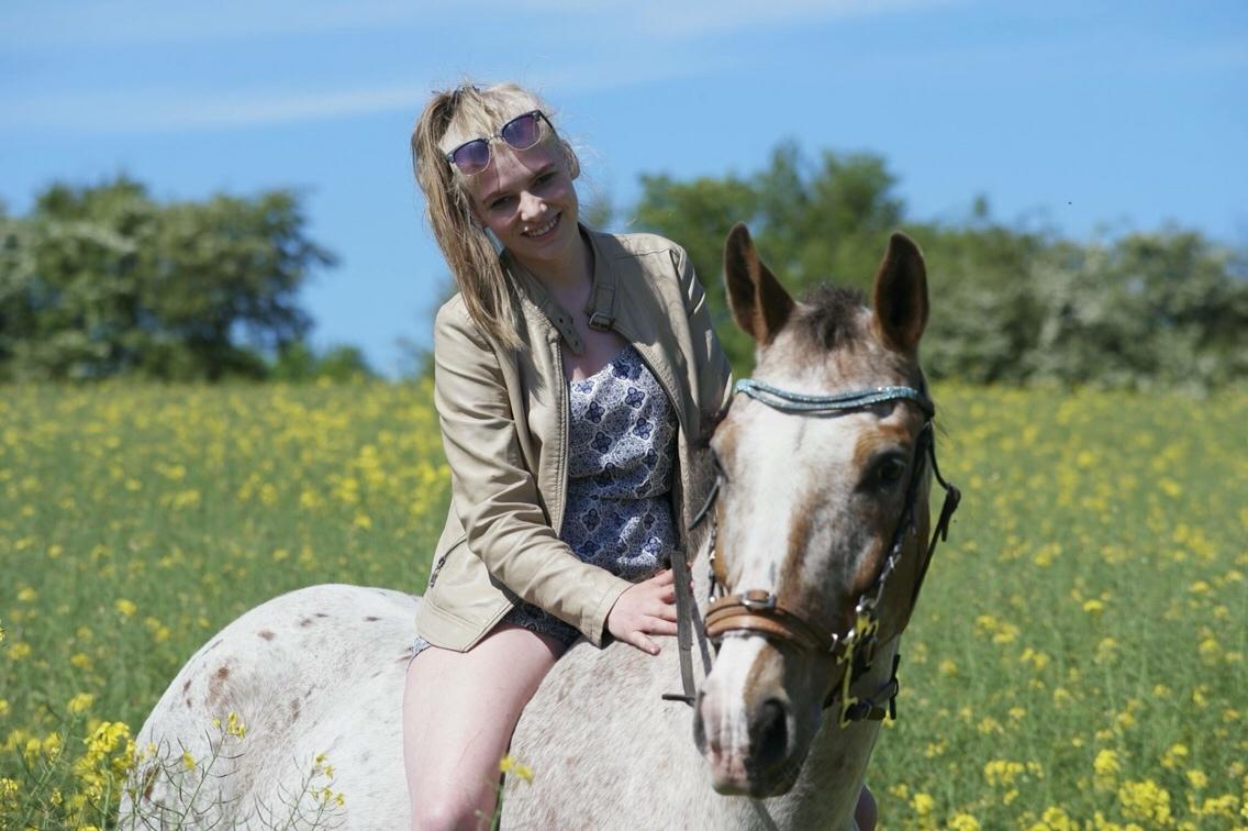 Anden særlig race Sofus billede 1