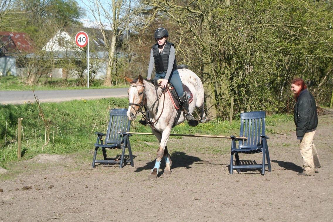 Anden særlig race Sofus billede 4