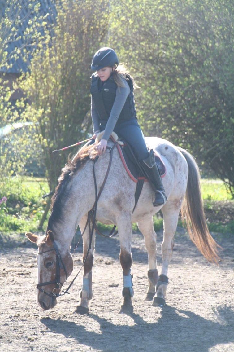 Anden særlig race Sofus billede 5