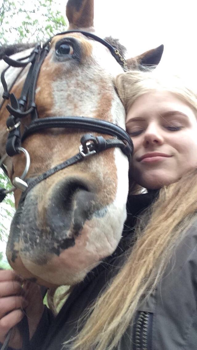 Anden særlig race Sofus billede 7