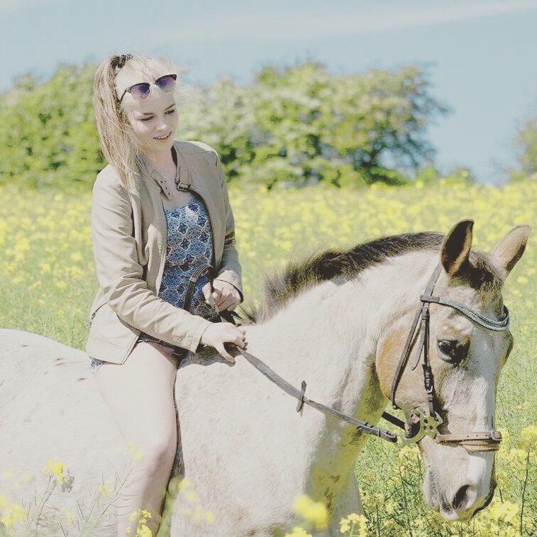 Anden særlig race Sofus billede 15