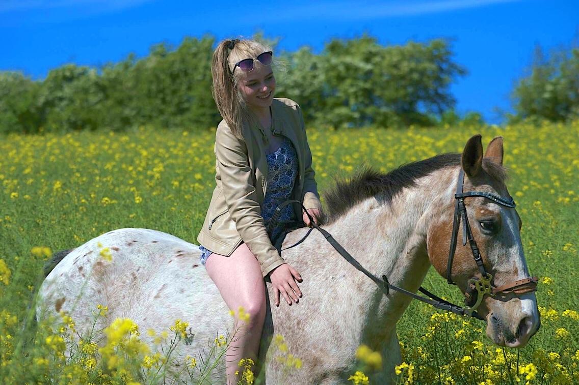 Anden særlig race Sofus billede 14