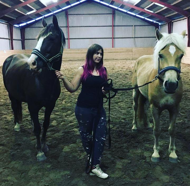 Haflinger Alonzo af åtte bjerge billede 11