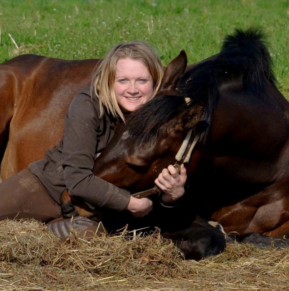 Dansk Varmblod Wanessa billede 9