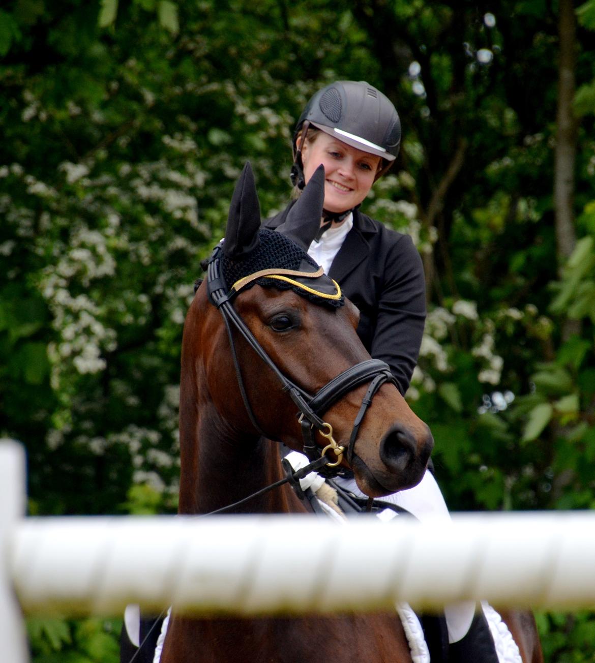 Dansk Varmblod Wanessa billede 1