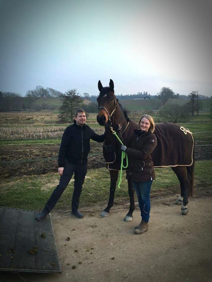 Dansk Varmblod Wanessa billede 17